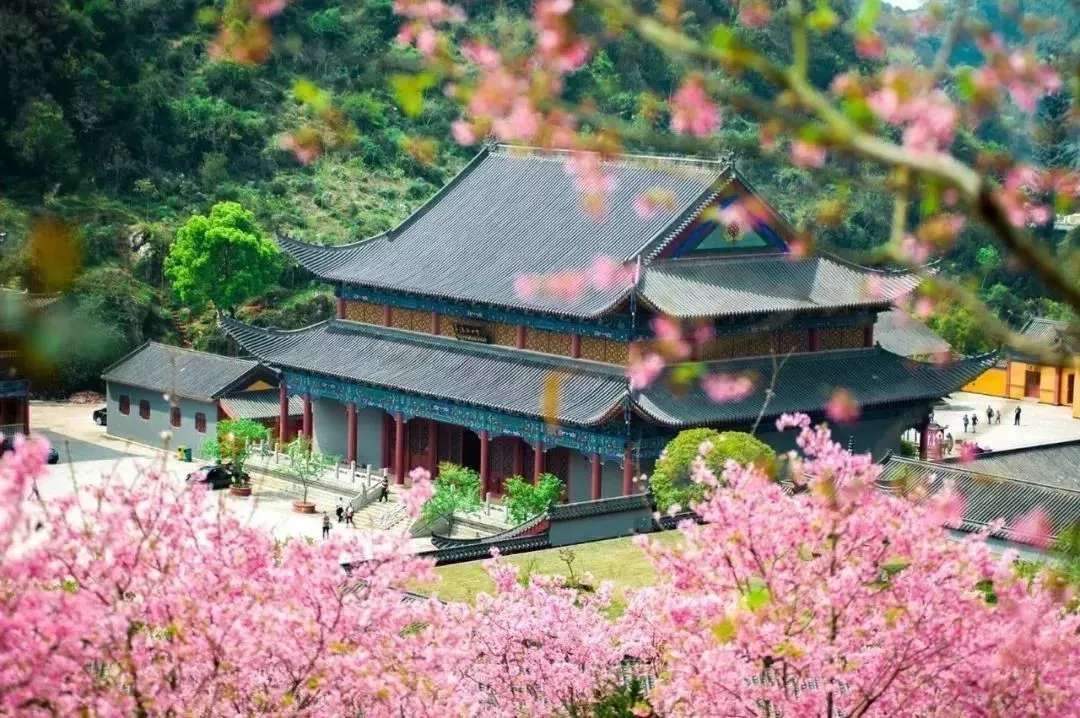“寺”曾相識，禪音共鳴--公信網絡廣播解決方案